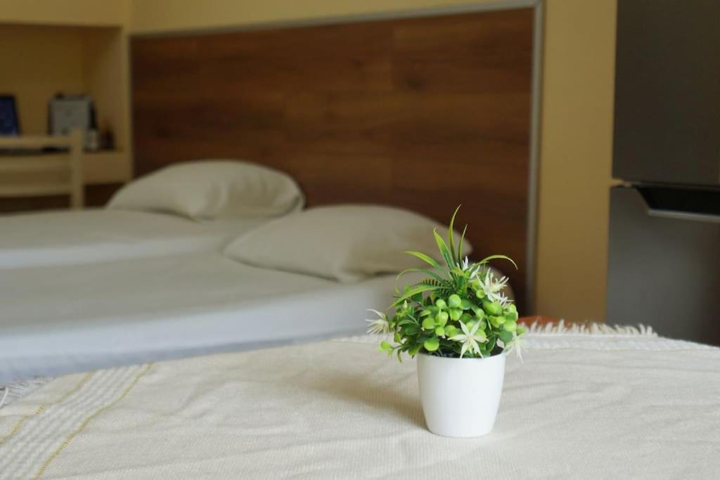 Alle'S M Shyri Studio Apartment Tirana Extérieur photo
